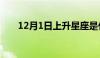 12月1日上升星座是什么（12月1日）