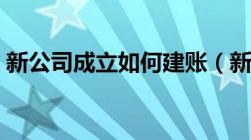 新公司成立如何建账（新成立公司如何做账）