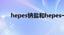 hepes钠盐和hepes一样吗（hepes）