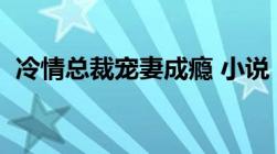 冷情总裁宠妻成瘾 小说（冷情总裁的独宠）