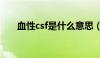 血性csf是什么意思（csf是什么意思）