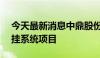 今天最新消息中鼎股份：获4.92亿元空气悬挂系统项目