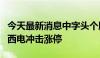 今天最新消息中字头个股午后持续走高，中国西电冲击涨停