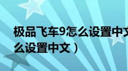 极品飞车9怎么设置中文字幕（极品飞车9怎么设置中文）