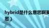 hybrid是什么意思啊英语（hybrid是什么意思）