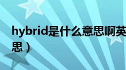 hybrid是什么意思啊英语（hybrid是什么意思）