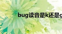 bug读音是k还是g（bug读音）