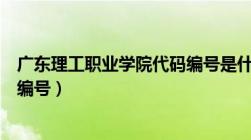 广东理工职业学院代码编号是什么（广东理工职业学院代码编号）