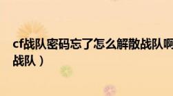 cf战队密码忘了怎么解散战队啊（cf战队密码忘了怎么解散战队）