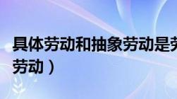 具体劳动和抽象劳动是劳动的两个方面（具体劳动）