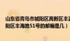 山东省青岛市城阳区高新区丰源路290号（山东省青岛市城阳区丰海路51号的邮编是几）