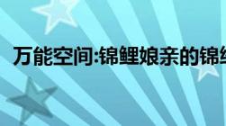 万能空间:锦鲤娘亲的锦绣田园（万能空间）