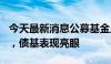 今天最新消息公募基金上半年分红超890亿元，债基表现亮眼