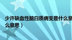 少许缺血性脑白质病变是什么意思（缺血性脑白质病变是什么意思）