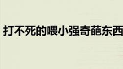 打不死的喂小强奇葩东西（打不死的喂小强）