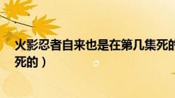 火影忍者自来也是在第几集死的?（火影忍者自来也第几集死的）