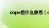 cope是什么意思（cop是什么意思）