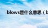 blows是什么意思（blow是什么意思）