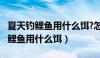 夏天钓鲤鱼用什么饵?怎么钓?来这里（夏天钓鲤鱼用什么饵）