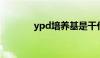 ypd培养基是干什么的（yp）