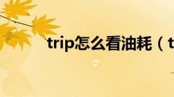 trip怎么看油耗（trip什么意思）