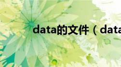 data的文件（data文件是什么）