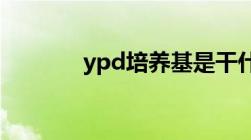 ypd培养基是干什么的（yp）