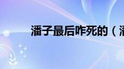 潘子最后咋死的（潘子怎么死的）