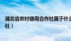 湖北省农村信用合作社属于什么银行（湖北省农村信用合作社）