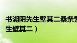 书湖阴先生壁其二桑条索漠楝花繁（书湖阴先生壁其二）