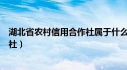 湖北省农村信用合作社属于什么银行（湖北省农村信用合作社）