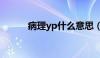 病理yp什么意思（yp什么意思）