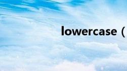 lowercase（lower）