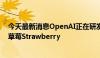 今天最新消息OpenAI正在研发新的先进人工智能，代号为草莓Strawberry