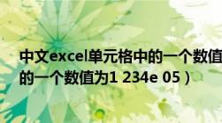 中文excel单元格中的一个数值为1.234e（excel单元格中的一个数值为1 234e 05）