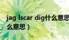 jag lscar dig什么意思（Jag lskar dig是什么意思）