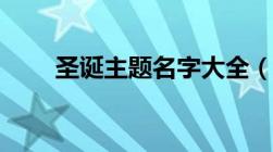 圣诞主题名字大全（圣诞主题名字）