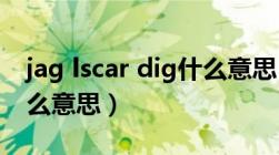 jag lscar dig什么意思（Jag lskar dig是什么意思）