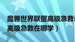 魔兽世界联盟高级急救训练师在哪里?（联盟高级急救在哪学）