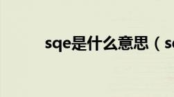 sqe是什么意思（sq是什么意思）