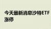 今天最新消息沙特ETF 159329上市首日触及涨停