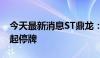 今天最新消息ST鼎龙：股票将被终止上市 明起停牌