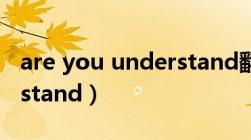 are you understand翻译（are you understand）