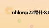 nhkvvp22是什么电缆（nh kvv）