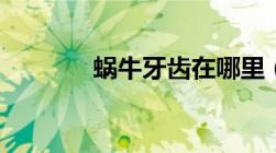 蜗牛牙齿在哪里（蜗牛牙齿）