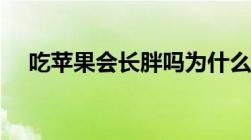 吃苹果会长胖吗为什么（吃苹果会长胖）