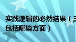 实践逻辑的必然结果（三个逻辑中的实践逻辑包括哪些方面）