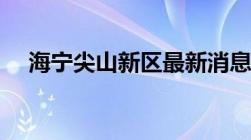 海宁尖山新区最新消息（海宁尖山新区）