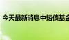 今天最新消息中短债基金总规模超8000亿元