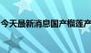 今天最新消息国产榴莲产业呈现提速发展趋势